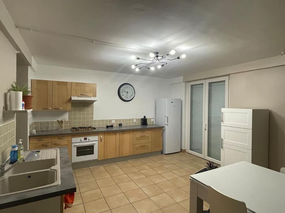 Appartement Independant En Rdc Chez Habitant Lannemezan Eksteriør bilde
