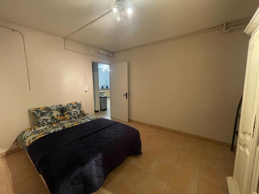 Appartement Independant En Rdc Chez Habitant Lannemezan Eksteriør bilde